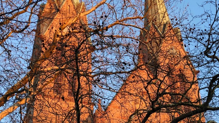 Goldene Kirchenspitzen, umhüllt vom warmen Sonnenlicht durch herbstliche Bäume vor einem klaren blauen Himmel.