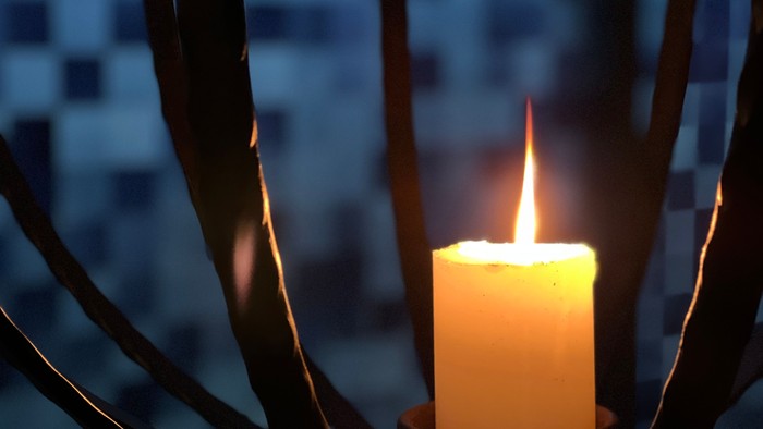 Eine Kerze brennt in der Dunkelheit, umgeben von dunklen Zweigen