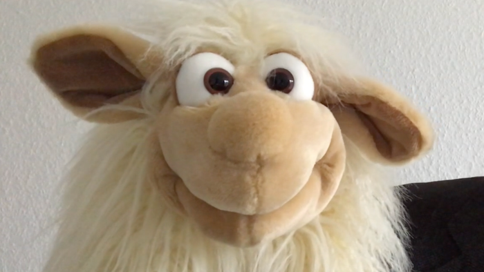 Ein weißes Stofftier-Schaf mit großen Augen und braunen Ohren.