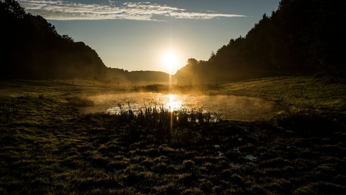 En rolig landskabsbillede ved solopgang med en sø og skove
