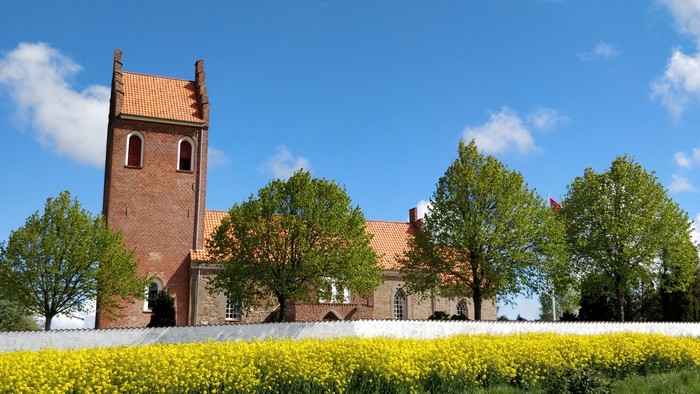 En rød kirke med tårn og spiret, omgivet af grønne træer og gule blomster i en åben landskab