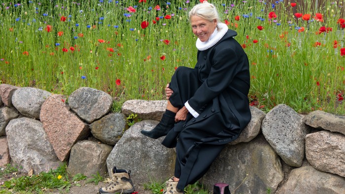 Billedet viser en munk, sko, sten og frugter