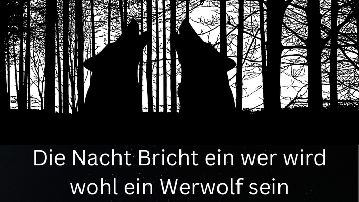 Plakat für eine nächtliche Veranstaltung mit Werwolf-Thema am **28. Juni um 16 Uhr** in **Heringen**.