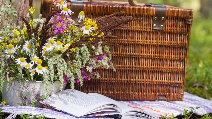 Eine rustikale Picknick-Anordnung mit einem Weidenkorb, einem offenen Buch, Wildblumen und einem karierten Tuch im Freien.