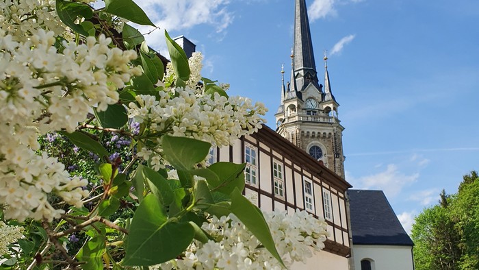 Blühende Bäume vor Kirche mit hohem Turm