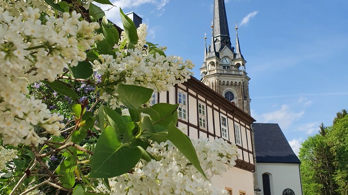 Blühende Bäume vor Kirche mit hohem Turm