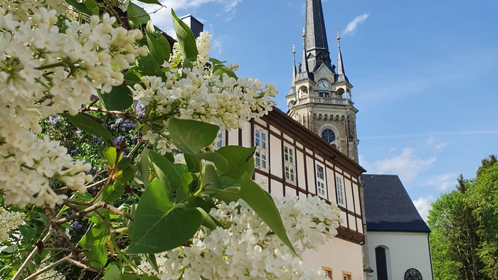 Blühende Bäume vor Kirche mit hohem Turm