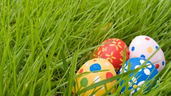 Bunte Ostereier im grünen Gras