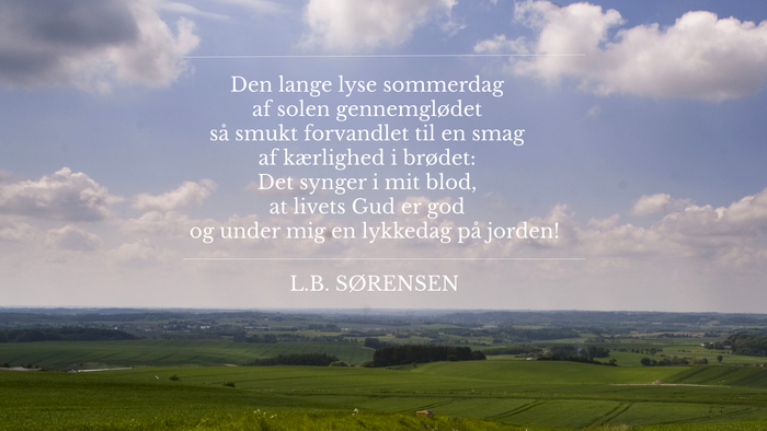 En klassisk bil kører på en smal vej gennem en grøn og åben landskab