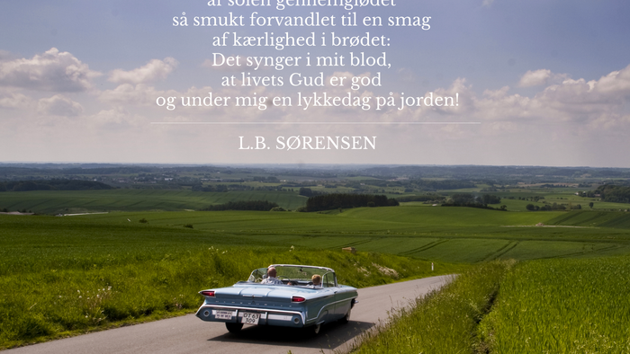 En klassisk bil kører på en smal vej gennem en grøn og åben landskab