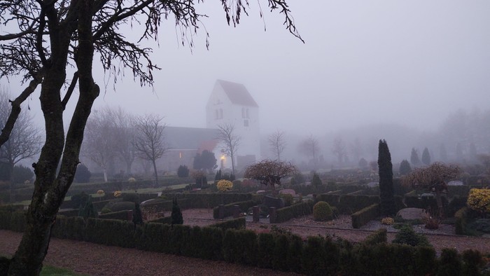 En neblig morgen i en park med en lyst hus og træer.