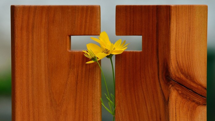 Ein hölzernes Kreuz mit einer gelben Blume darin.