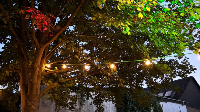 Baum mit Beleuchtung