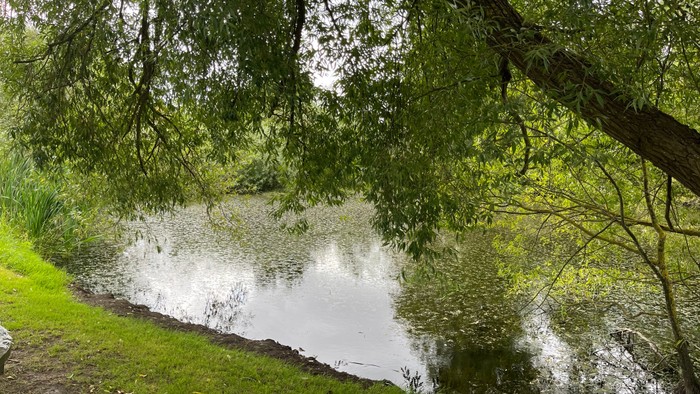 Smukt billede af fantastisk sø.