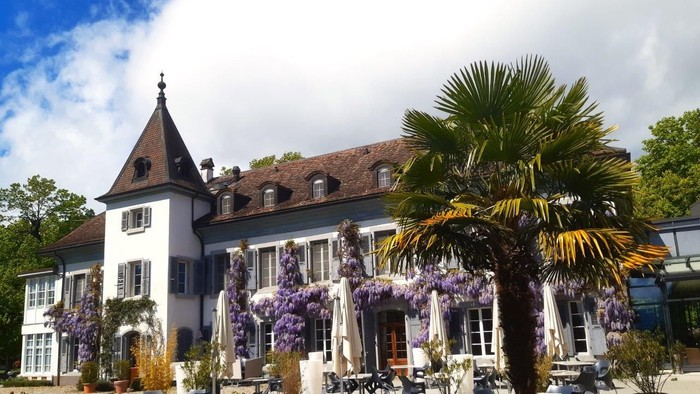 Et stort, smukkt hus med palme og blomster i forhaven