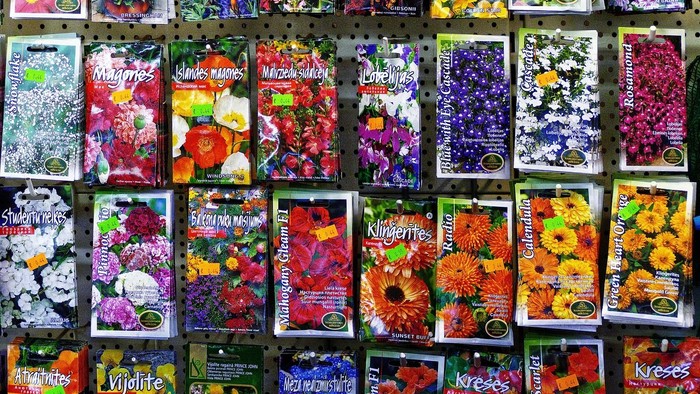 Bunte Saatguttütchen, ordentlich in einer Ausstellung angeordnet, die verschiedene Blumenarten und Pflanzen zeigen.