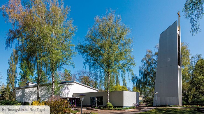Haus mit Garten und hohen Bäumen unter blauem Himmel