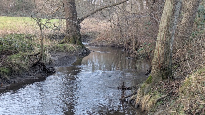 Ein ruhiger, schmaler Bach schlängelt sich durch eine bewaldete, ländliche Landschaft mit kahlen Bäumen und grasbewachsenen Ufern.