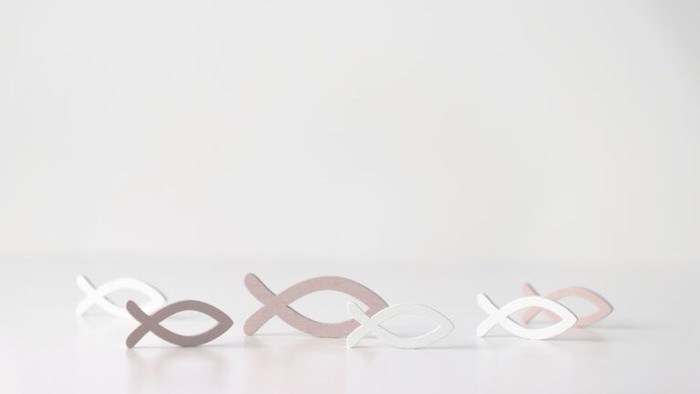 Minimalistische Metall-Fischsymbole in einer Reihe auf einer hellen Oberfläche angeordnet.