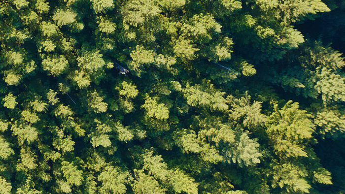Aerial view of dense forest with text 