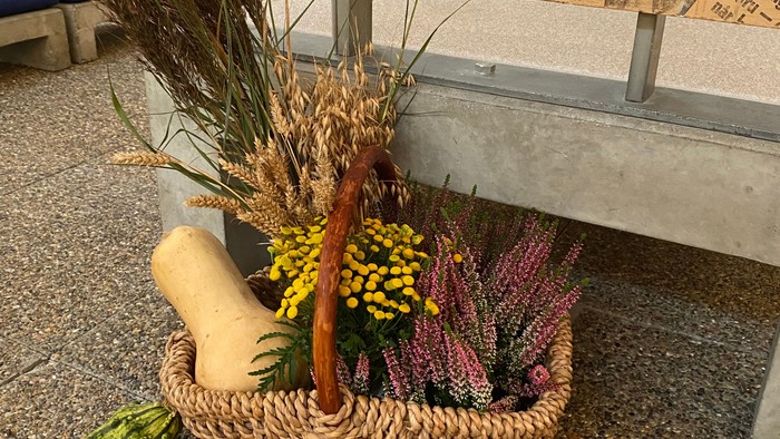 En kurv med frugter og grønne spær på bænk