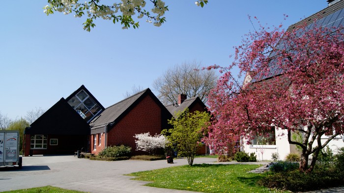 Ein charmantes Häuschen mit rotem Dach und blühenden Bäumen im Vordergrund