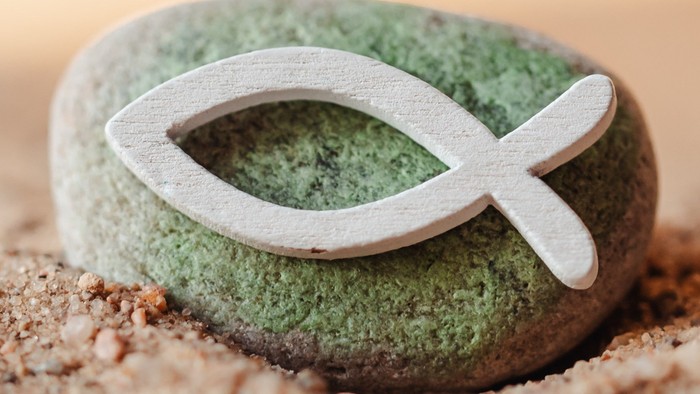 Ein grünes Objekt mit einem weißen Fischsymbol darauf liegt auf sandigem Boden.