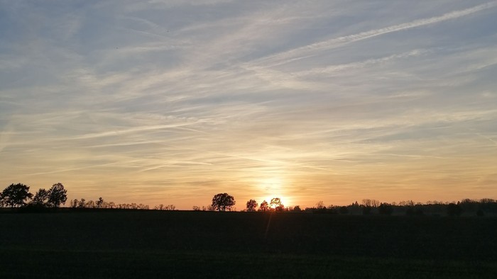 Sonnenuntergang über einem Feld