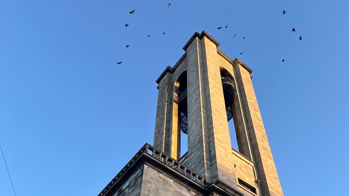 En stenkirke med et højt klokketårn og talrige fugle, der flyver rundt på en klar himmel.