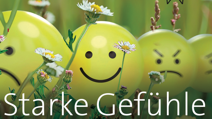 Ein fröhliches Sommerpredigtsplakat mit lächelnden und stirnrunzelnden Zitronen mit Blumen, betitelt *„Starke Gefühle“*.
