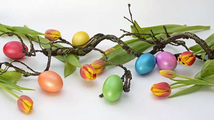Bunte Ostereier hängen an einem Ast mit grünen Blättern und Tulpen.