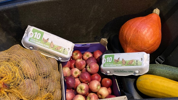 In dem Einkaufswagen befinden sich Bio-Äpfel, eine Banane, eine Süßkartoffel und eine Netztasche.