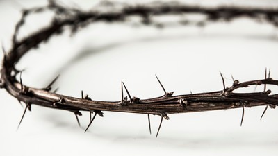 En spiss krone på et bløt, hvitt baggrund.