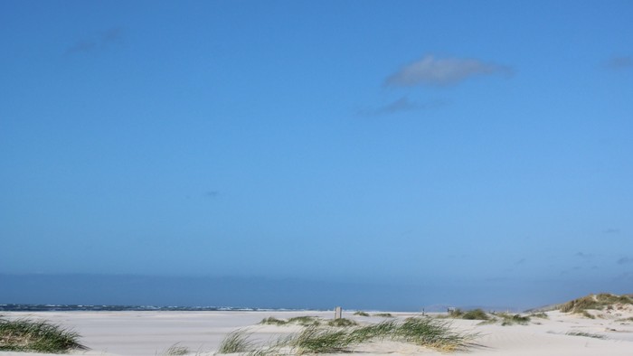 En strækning af sandstrand med græs og en klar blå himmel med en enkelt hvid skyer.
