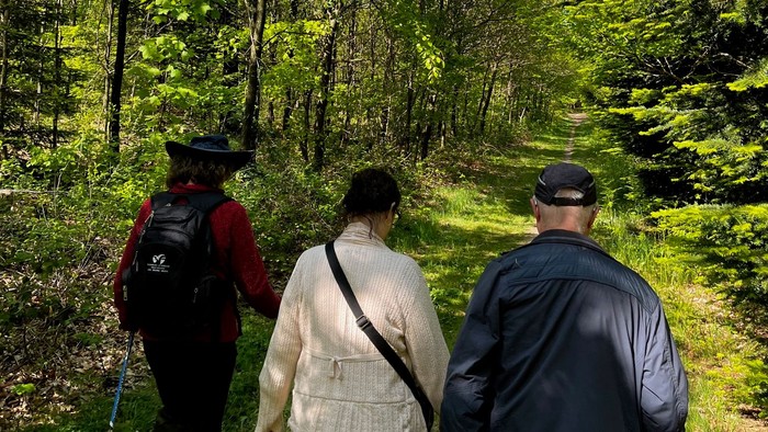 Tre vandrere går gennem en frodig, grøn skov på en solskinsdag.