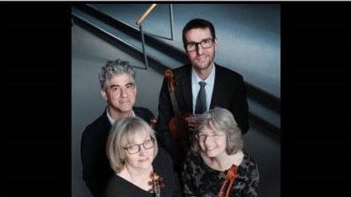 En gruppe af fire musikanere poserer med deres strengeinstrumenter