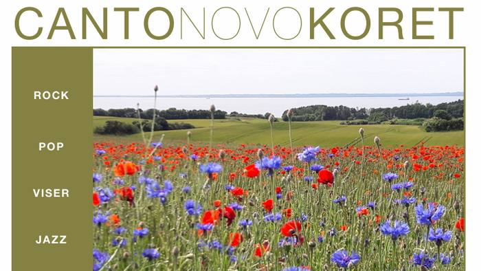 Reklameplakat for en sommerkoncert med forskellige musikgenrer i en farverig blomstermark.