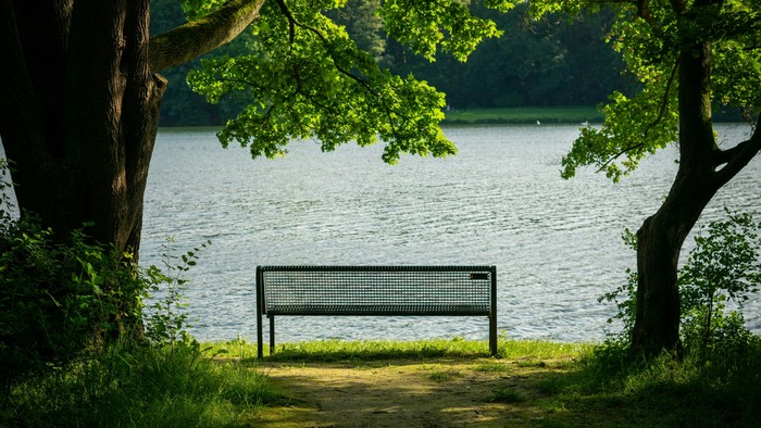 Ein einsamer Metallbänkt steht am Seeufer unter Bäumen