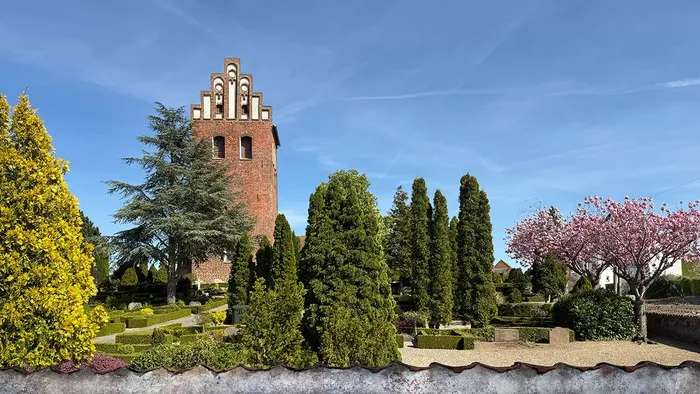 Græsted kirke set fra vest side med japanske kirsebærtræer