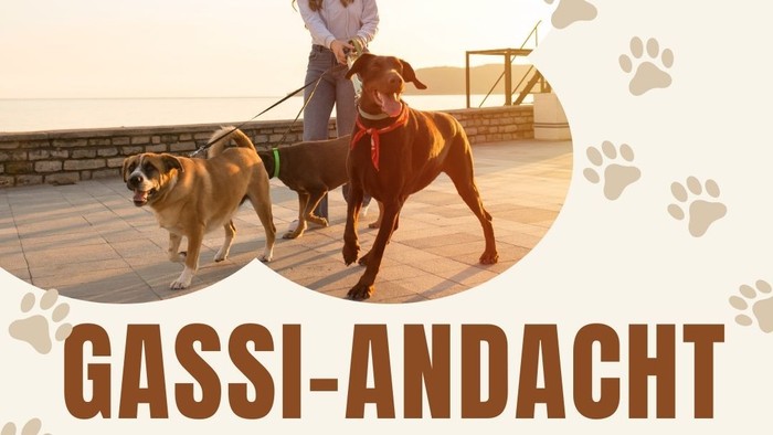 Plakat für eine Hunde-Spaziergangsveranstaltung mit anschließendem vegetarischem Picknick am 28. März 2026.