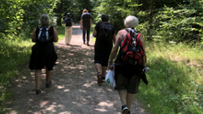 En gruppe vandrere med rygsække går langs en skovsti.
