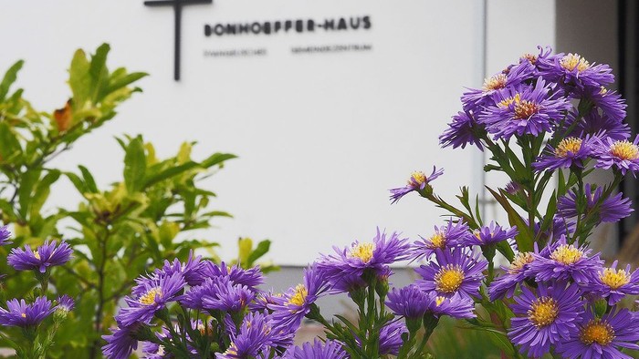 Lila Blumen vor einem Schild mit einem Kreuz
