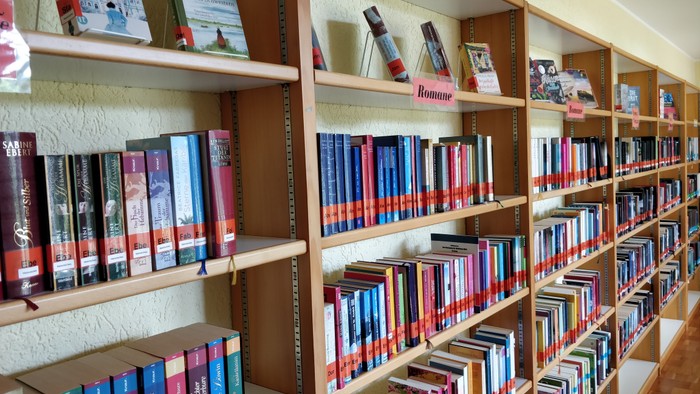 Gut organisierte Bücherregale, gefüllt mit verschiedenen bunten Büchern und Zeitschriften auf Holzregalen.