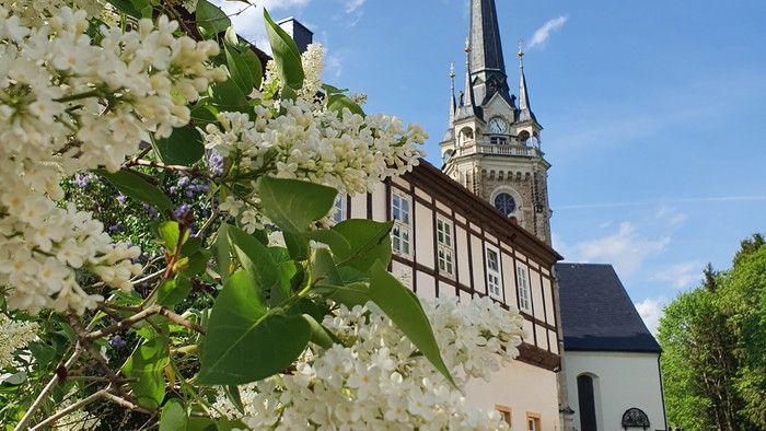 Blühende Bäume vor Kirche mit hohem Turm