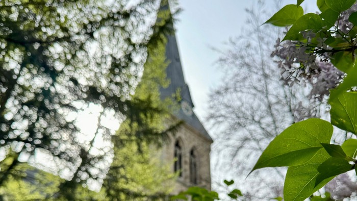 Ein malerischer Kirchturm, eingerahmt von blühenden Fliederbüschen und üppigem grünem Laub.