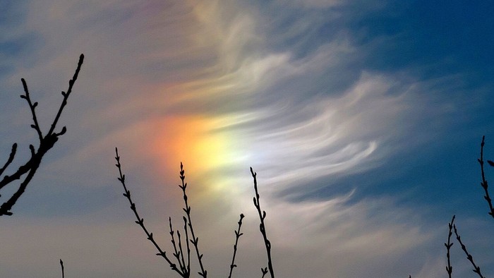 Ein sonnenverhangener Himmel mit zarten Wolken und kahlen Ästen im Vordergrund