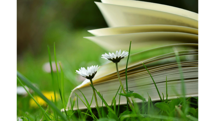Ein offenes Buch liegt auf dem Gras, daneben zarte weiße Blumen.