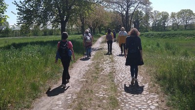 Ein Gruppe von Menschen geht auf einem Schotterweg durch eine grüne Landschaft