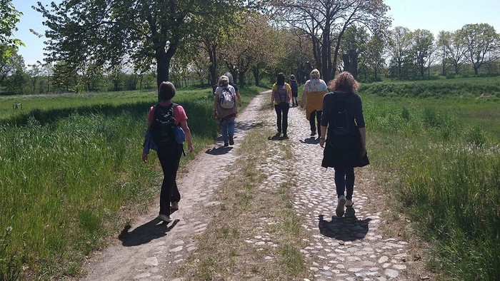 Ein Gruppe von Menschen geht auf einem Schotterweg durch eine grüne Landschaft