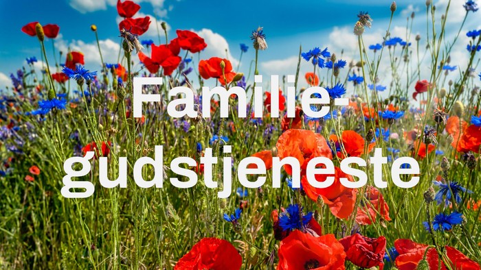 Farverigt blomsterfelt med teksten 